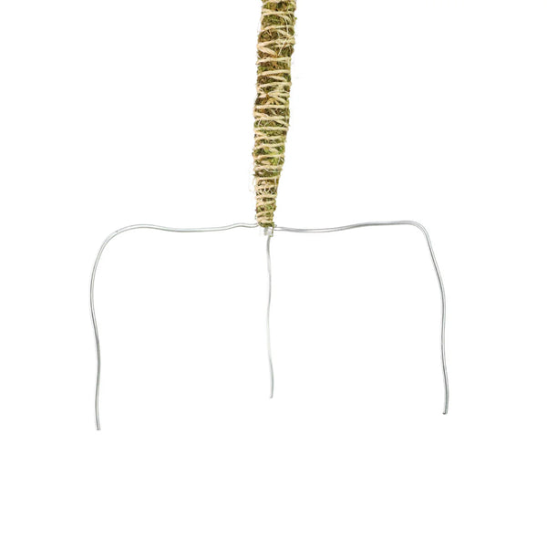 Mossify® Bendable Moss Pole™ THIN - 3 Pack