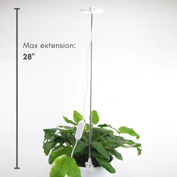 Mossify® Adjustable LED Plant Light