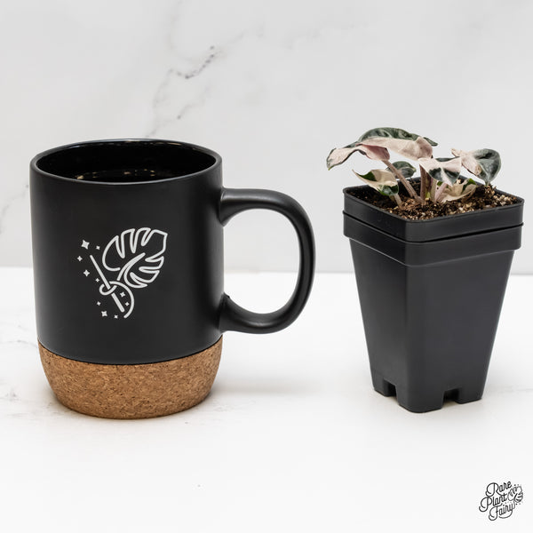 Alocasia 'Balloon Heart' Pink Variegated (wk6-L)