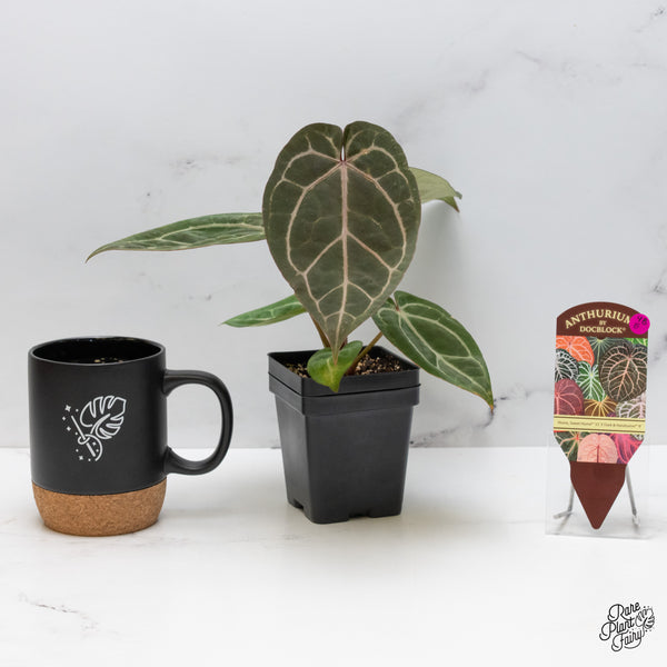 Anthurium Home, Sweet Home '32' x Dark & Handsome '9' by DocBlock® (wk48-E)