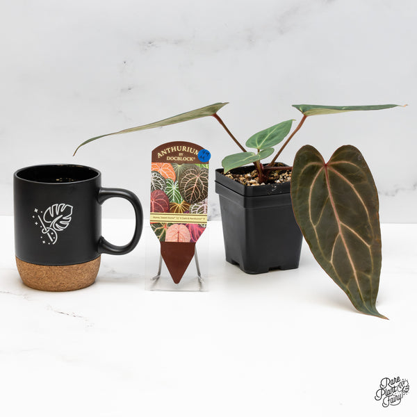 Anthurium Home, Sweet Home '32' x Dark & Handsome '9' by DocBlock® (wk49-M)