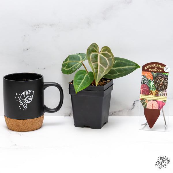 Anthurium Home, Sweet Home '32' x Dark & Handsome '9' by DocBlock® (wk45-Z)