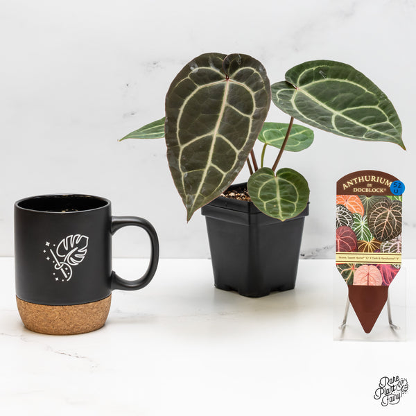 Anthurium Home, Sweet Home '32' x Dark & Handsome '9' by DocBlock® (wk52-U)
