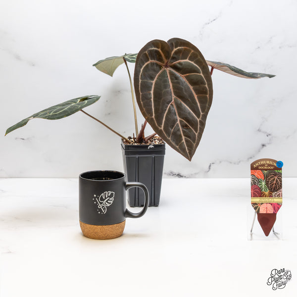 Anthurium Red Velvet Cake '24' x Home, Sweet Home '32' by DocBlock® (wk52-B)