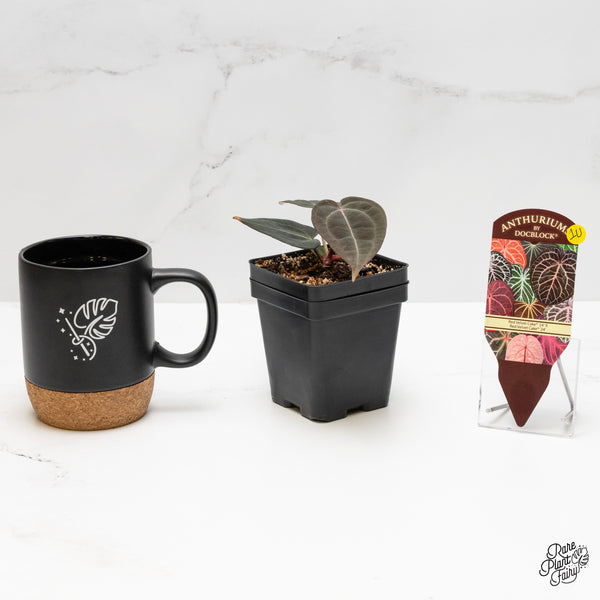 Anthurium Red Velvet Cake '24' x Red Velvet Cake '24' by DocBlock® (wk1-U)