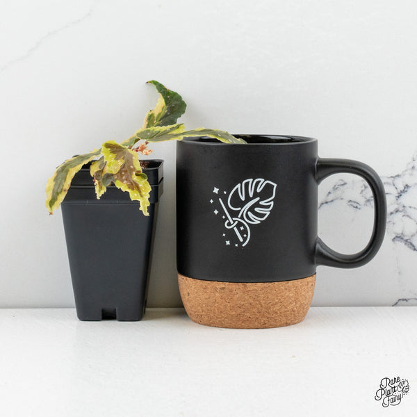 Begonia 'Dainty Spray' Sport Variegated (wk48-K)