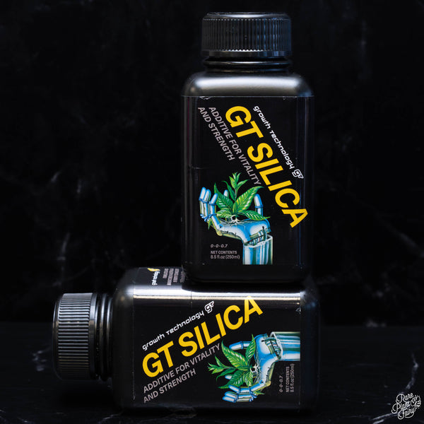 GT Silica Growth Technology