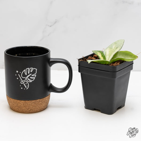 Hoya Carnosa 'Argentea Princess' by Kunzo (wk5-M)