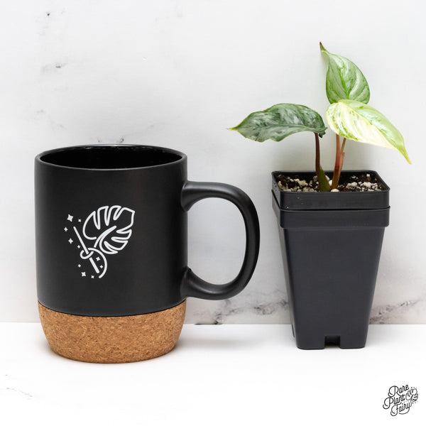 Philodendron Sodiroi Albo Variegated (wk46-D)