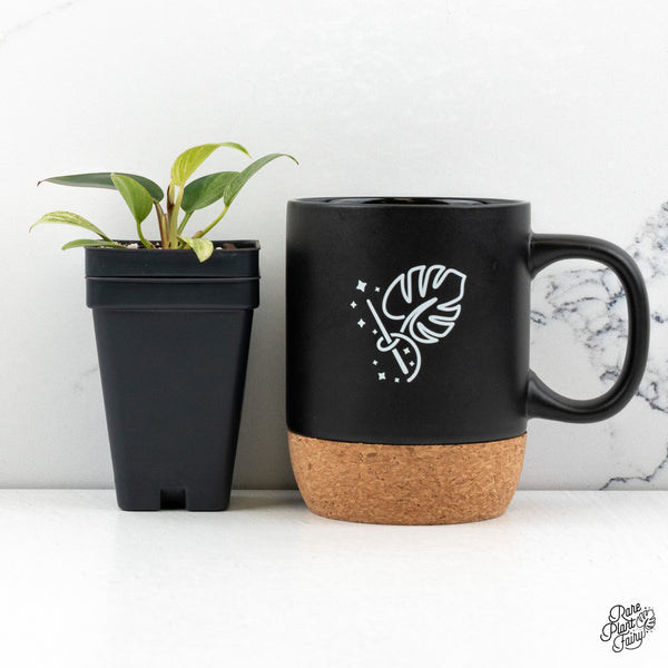 Philodendron 'Birkin' Aurea Variegated (wk48-H)