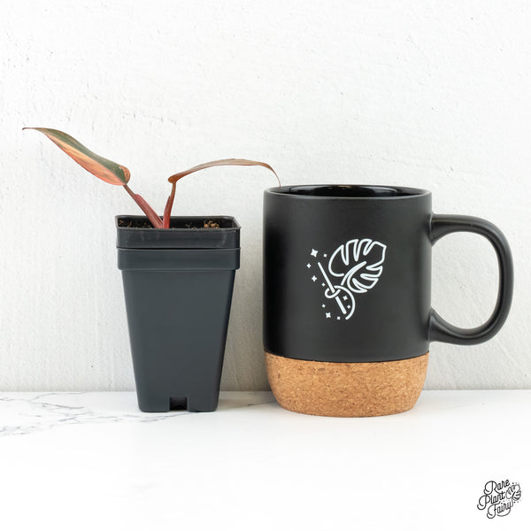 Philodendron 'Princess of Fire' (w6-B)