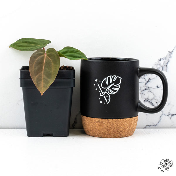 Anthurium NSE Red Crystal x Antolakii *Growers choice*