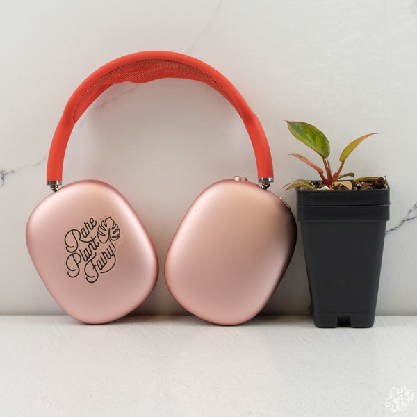 Philodendron 'Red Congo' Variegated *Grower's Choice*