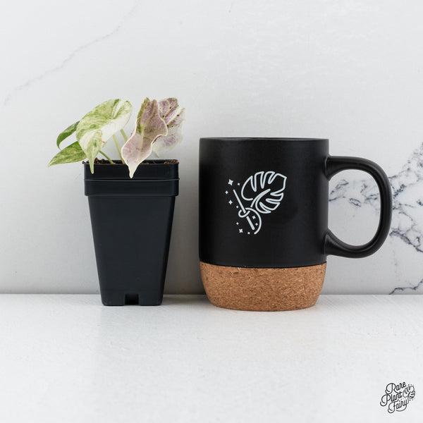 Alocasia 'Watsoniana Doff.' Pink Variegated *Grower's Choice*