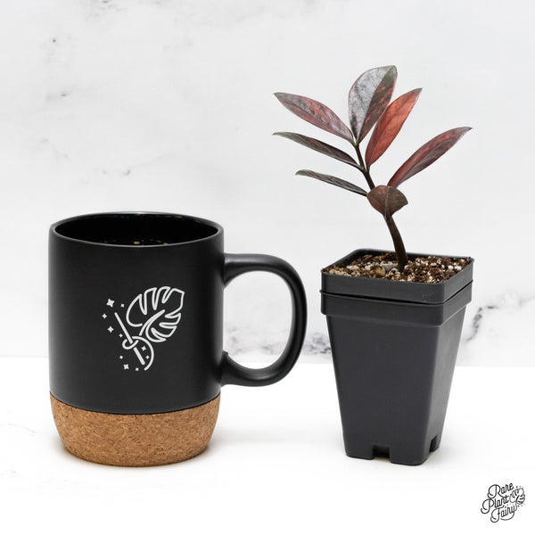 Zamioculcas Zamiifolia "Raven ZZ" Pink Variegated (wk48-UO)