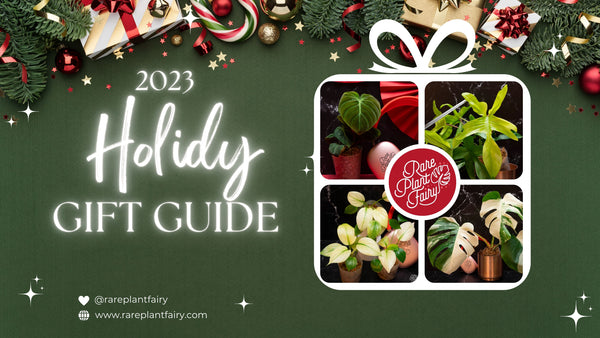 2023 Holiday Gift Guide🎁