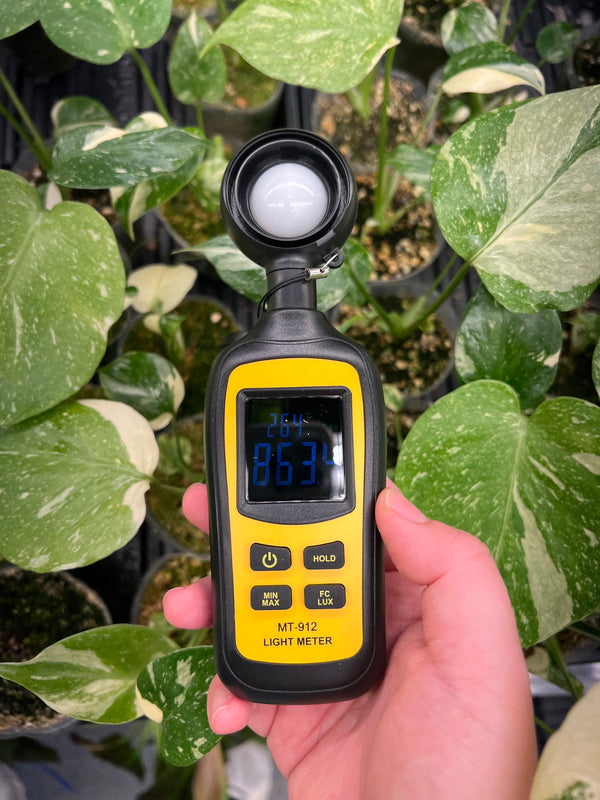 How to Accurately Measure Light for Plants Using Daily Light Integral (DLI)