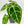 9008 Anthurium Brown Derby ‘39’ Brown Derby ‘39’
