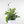 Mossify® Adjustable LED Plant Light