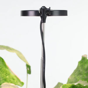 Mossify® Adjustable LED Plant Light