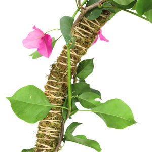 Mossify® Bendable Moss Pole™ THIN - 3 Pack