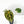 9036 Anthurium Thor’s Lightning ‘51’ x Red Crystal ‘12’