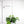 Mossify® Adjustable LED Plant Light