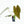 9024 Anthurium Zara ‘29’ x Dark and Handsome ‘9’