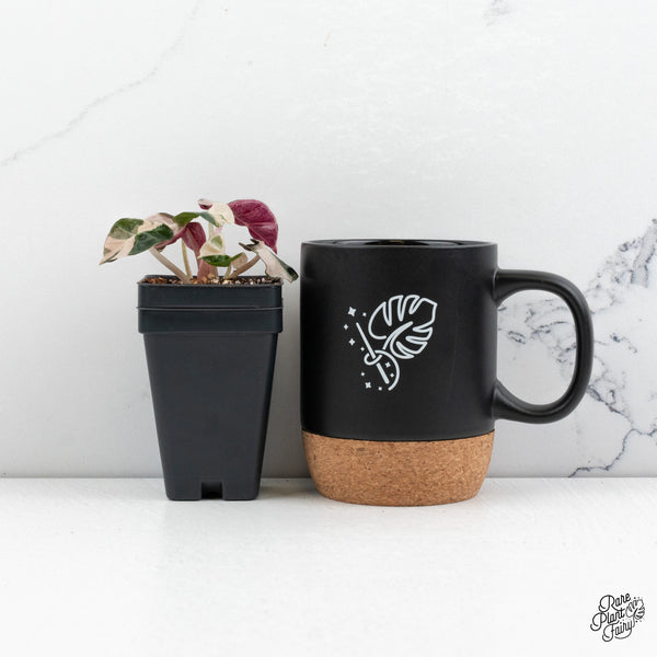 Alocasia 'Balloon Heart' Pink Variegated *Grower's choice*