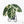 Alocasia 'Black Velvet Ninja' Albo Variegated (wk21-N) *Corming Size*