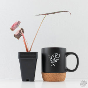 Alocasia Chantrieri Pink Variegated (wk43-L237)