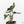 Alocasia loco *Grower's Choice*