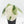 Alocasia Melo Albo Variegated - Corming Size (wk38-L283)