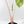 Alocasia 'Pink Dragon' Aurea Variegated *Corming Size* (wk40-L13)