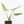 Alocasia Reginae Albo Variegated (wk35-U108)