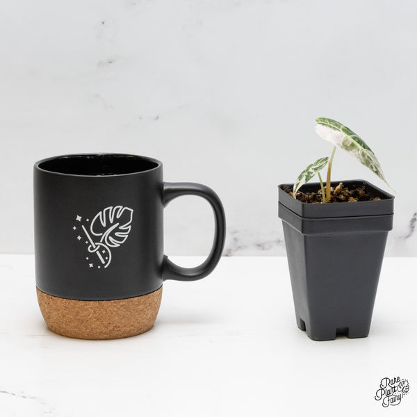 Alocasia Watsoniana Pink Variegated (wk51-L)