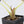 Alocasia Cuprea Pink/Mint Variegated (wk37-R) *Corming Size*