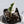 Alocasia Cuprea Albo/Pink Variegated (wk33-P)