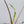 Alocasia Portodora Albo Variegated (wk35-A)