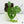 Amydrium sp. NOID (wk37-E)