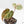 Anthurium Crystallinum variegated (wk19-UP)
