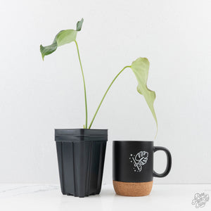 Anthurium 'Delta Force'  (wk29-H)