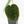 Anthurium hoffmannii 'Blood Moon' (wk30-UD)