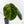 Anthurium NSE Red Crystallinum x Crystallinum Variegated (wk41-U39)