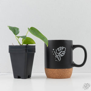 Anthurium Warocqueanum Dark Form x Luxurians (wk44-U198)