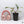 Anthurium 'Tropiflora Delta' x Antolakii (Formerly BVEP) (wk35-B)