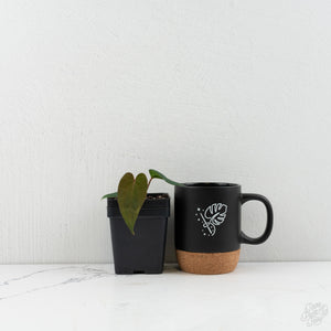 Anthurium 'Wuhoo's First Night' x Antolakii *Grower‚Äôs Choice*