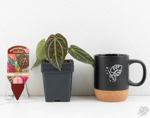 Anthurium Black Widow '43' x Zara '14' by DocBlock® (wk13-V)