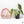 Anthurium Papillilaminum x Red Vein Dark Phoenix Variegated (wk37-C)