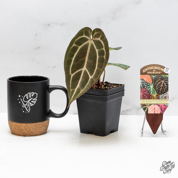 Anthurium Home, Sweet Home '32' x Dark & Handsome '9' by DocBlock® (wk50-O)